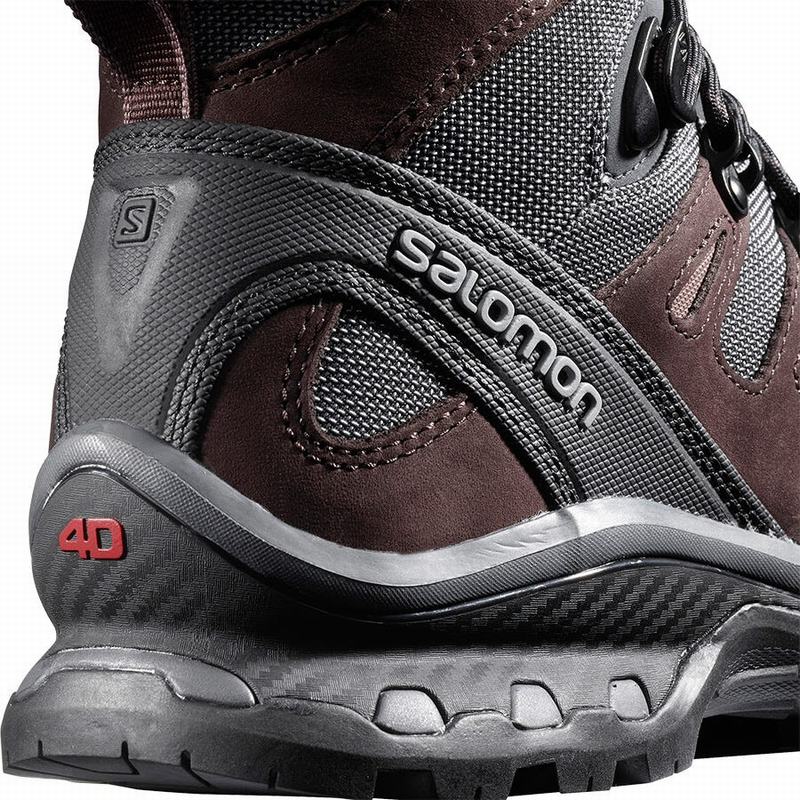 quest 4d gtx w